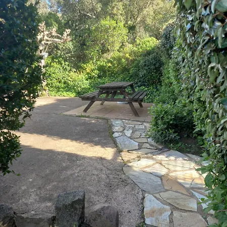 Climatise 35 M2 Pour 1 Couple - Piscine Partagee - Porto-Vecchio (Corsica)