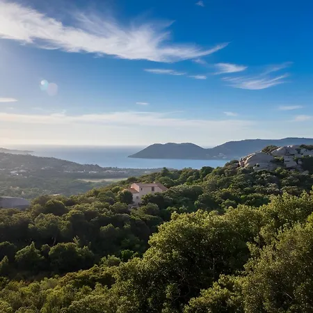 Climatise 35 M2 Pour 1 Couple - Piscine Partagee - Lejlighed Porto-Vecchio (Corsica)