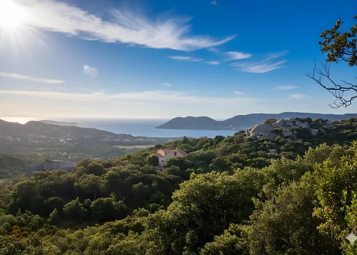 Climatise 35 M2 Pour 1 Couple - Piscine Partagee - Lejlighed Porto-Vecchio (Corsica)